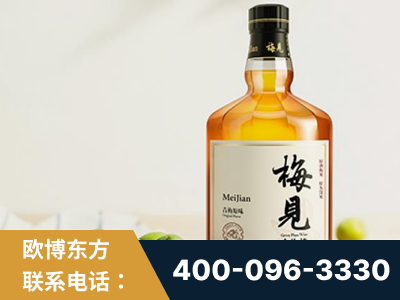 鹤壁-梅见青梅酒